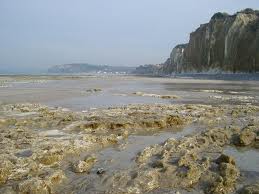 falaises_pourville.jpg