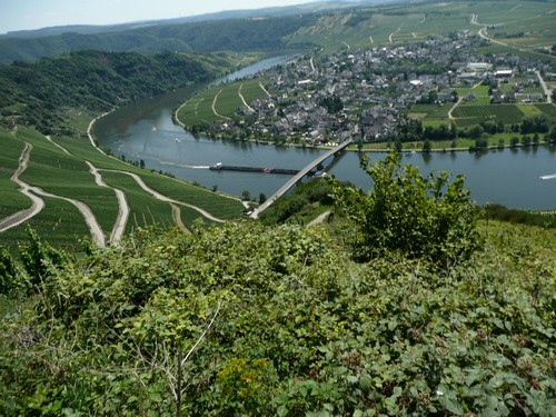 moselle_080.jpg