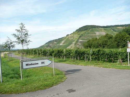 moselle_090.jpg