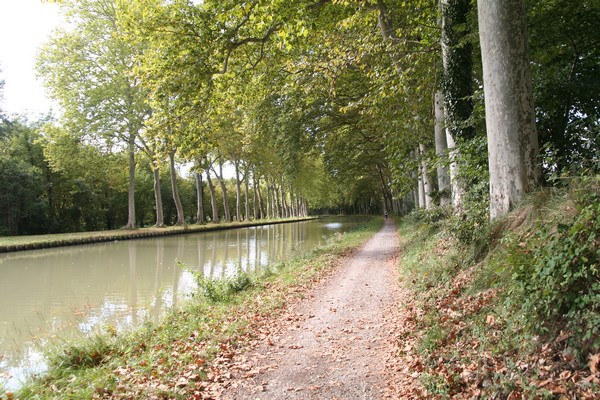 canal_du_midi_015.jpg