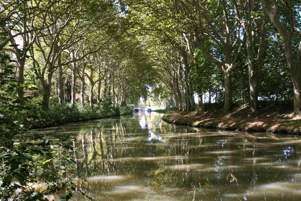 canal_du_midi_018.jpg