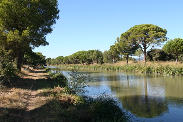 canal_du_midi_033.jpg